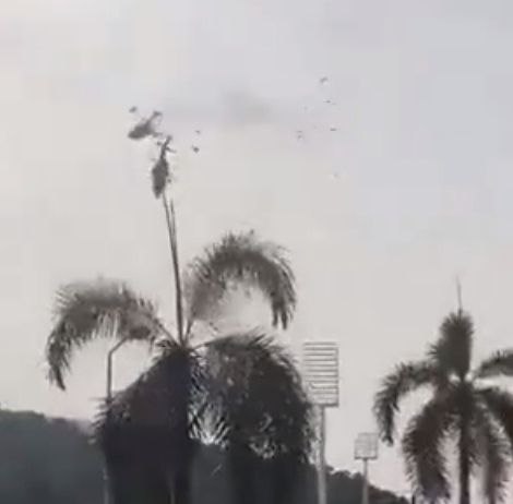 马来西亚直升机相撞事故原因公布